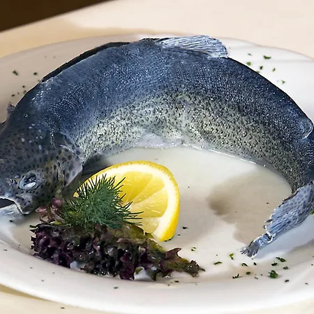 Fischerstueberl Affittacamere Rottau