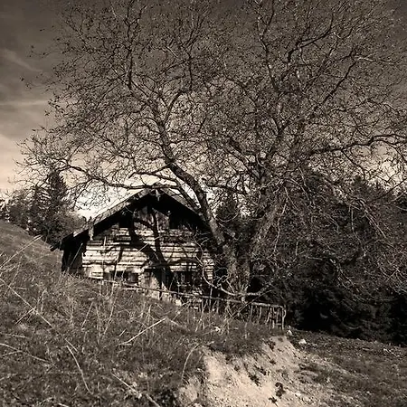 Gasthof Fischerstüberl
